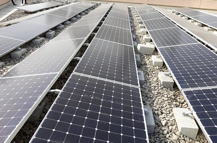 9,000万ドルの太陽光発電施設によりクイーンズランド大学が100%再生可能に